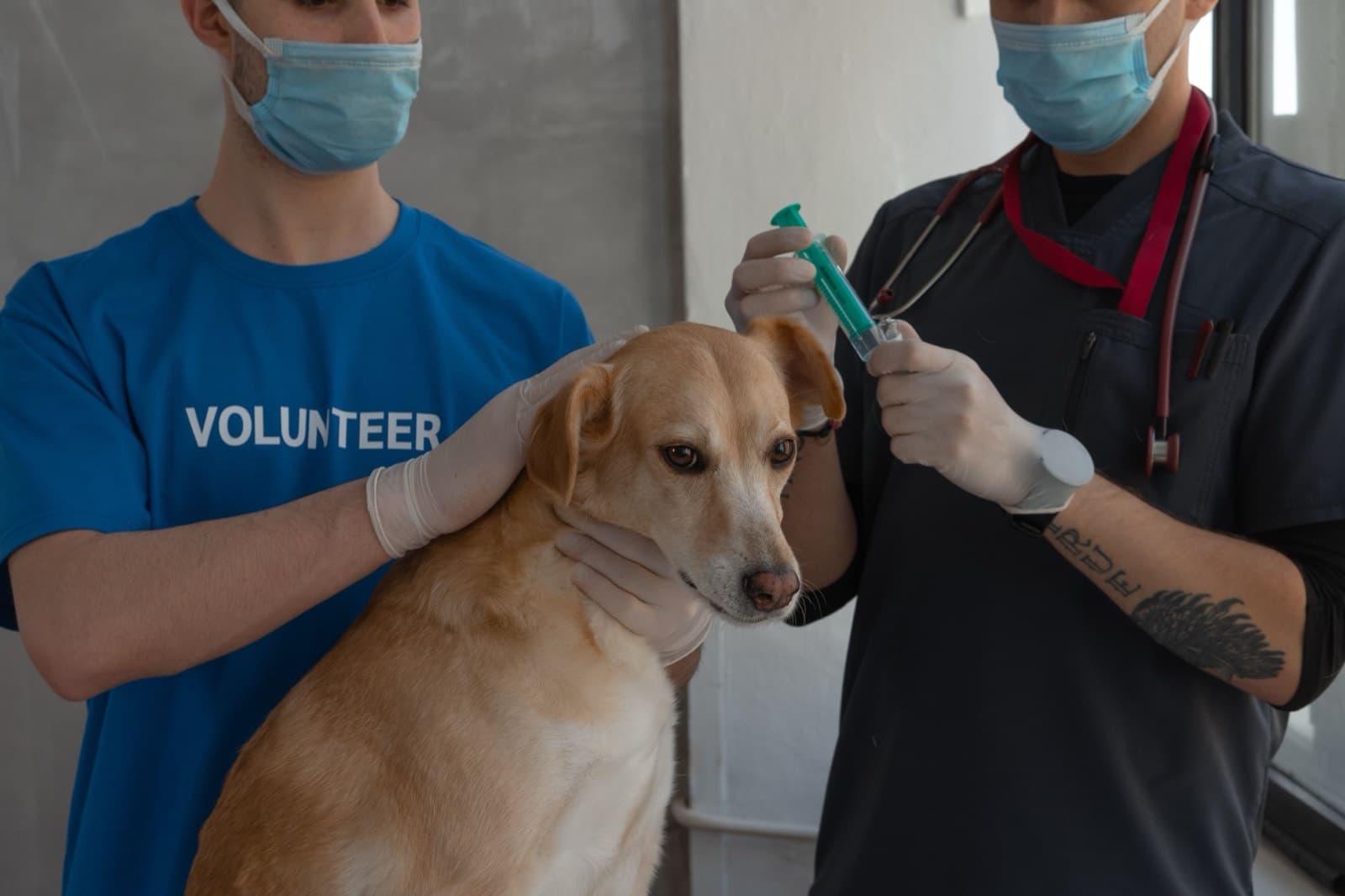 Vaccinations