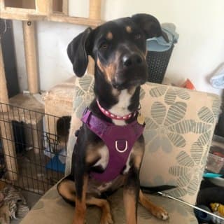Kazam