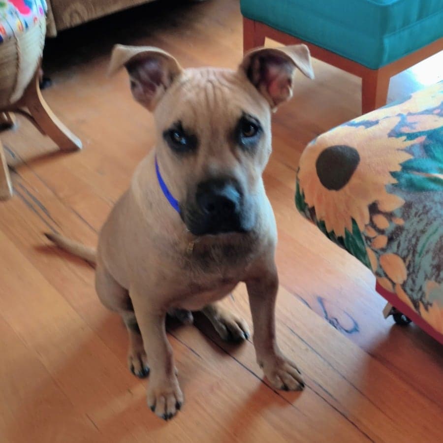 Colter, photo 2 of 7