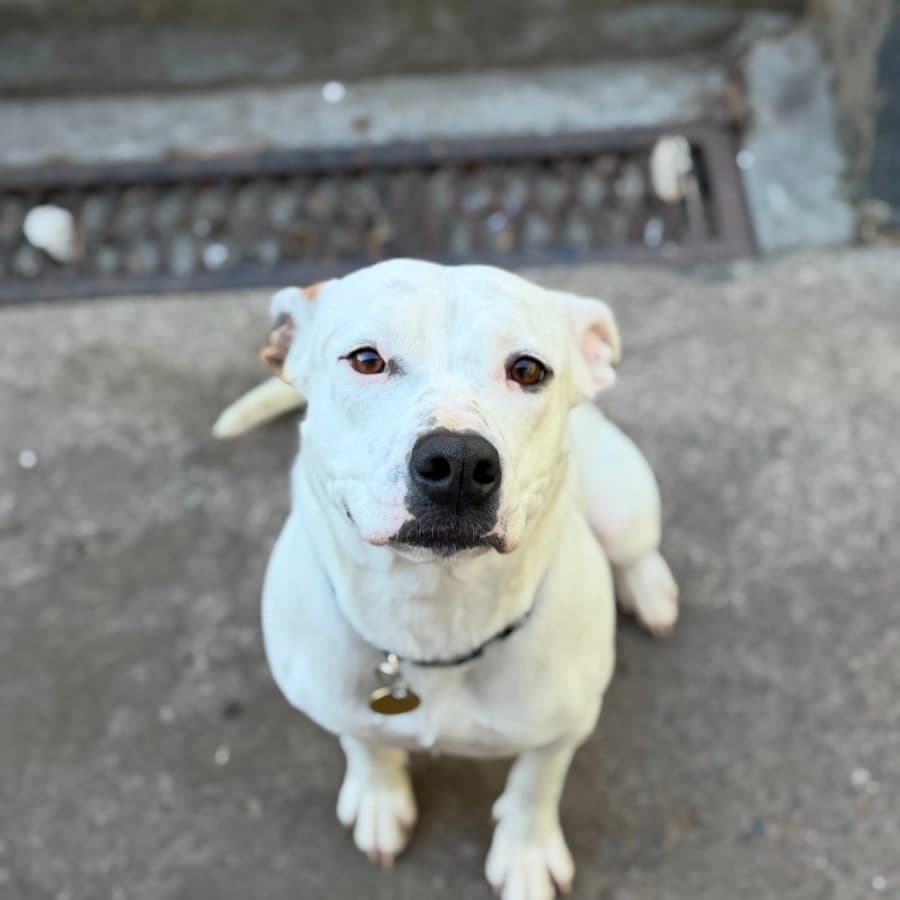Luna Lovegood, photo 2 of 9