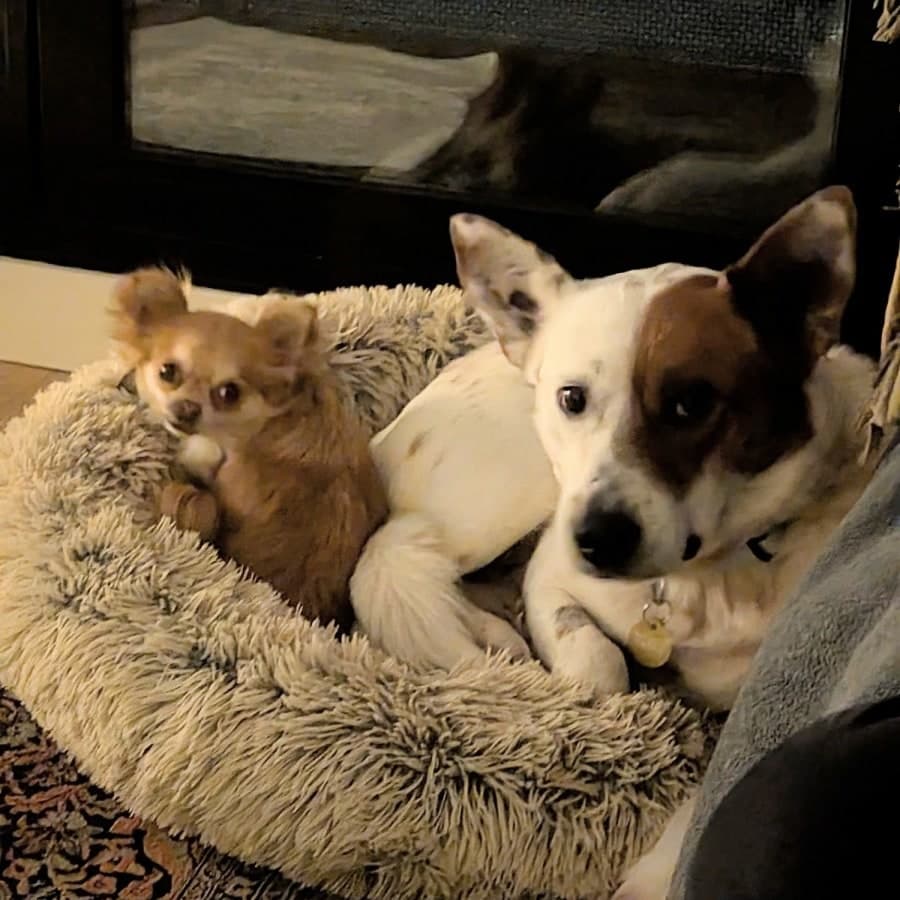 Paquito, photo 5 of 5
