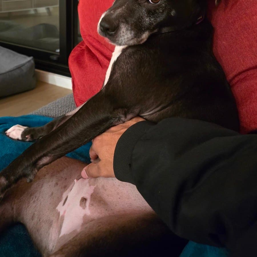 Cambria, photo 4 of 9