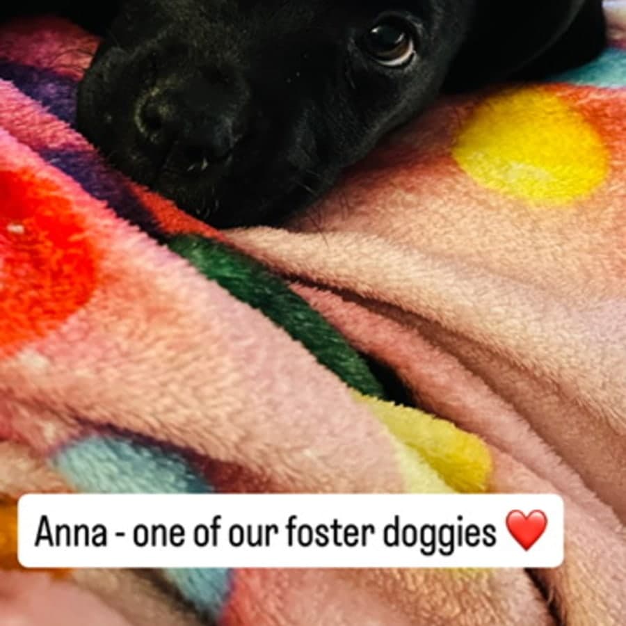 Anna Sun, photo 2 of 8