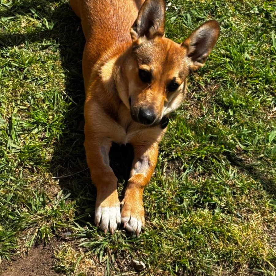 Teka, photo 2 of 5